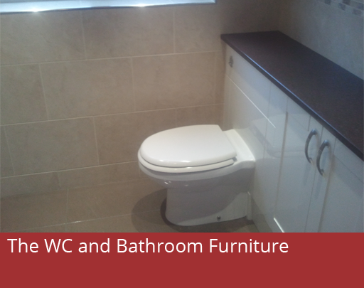 The WC and bathroom furniture.